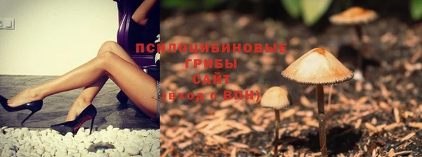 скорость Майский