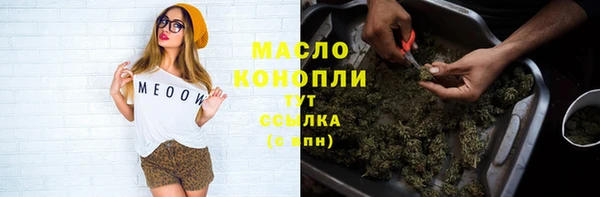 шишки Магас