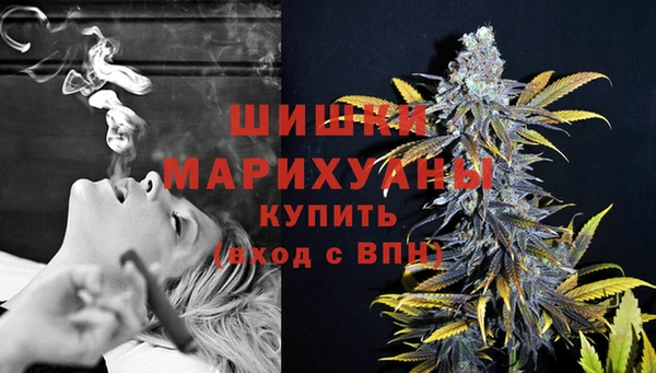дживик Медвежьегорск