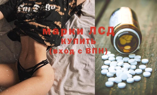 шишки Магас