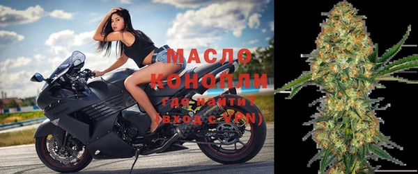 шишки Магас