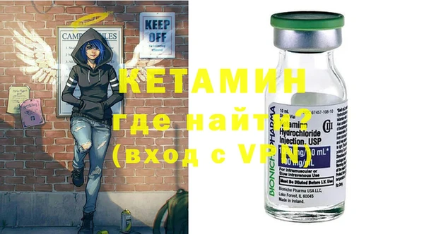шишки Магас