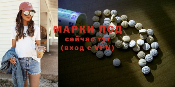 шишки Магас